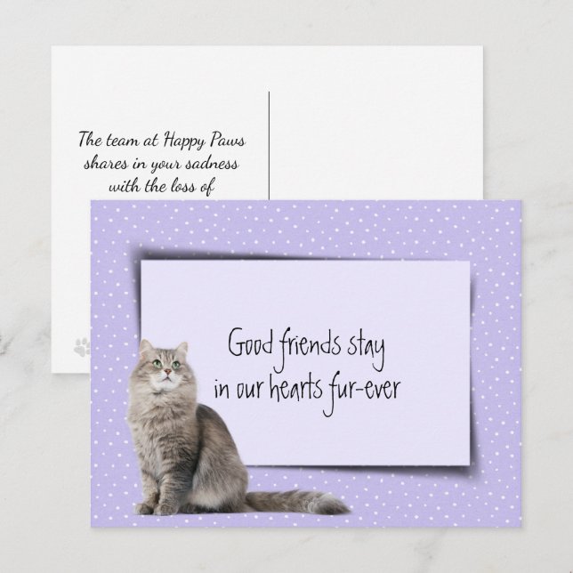 Graue Katzen - Verlust aus der Tiermedizin Postkarte (Vorne/Hinten)