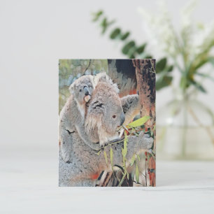 Graue Koala-Bären Postkarte