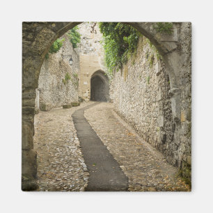Graue Kopfsteinpflasterstraße, Frankreich Magnet