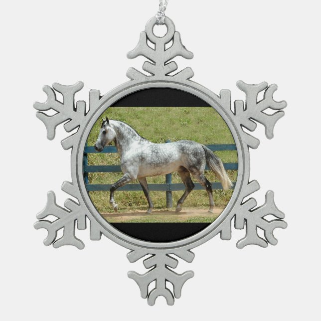 Graue Mangalarga Stallions-Weihnachtsverzierung Schneeflocken Zinn-Ornament (Vorderseite)