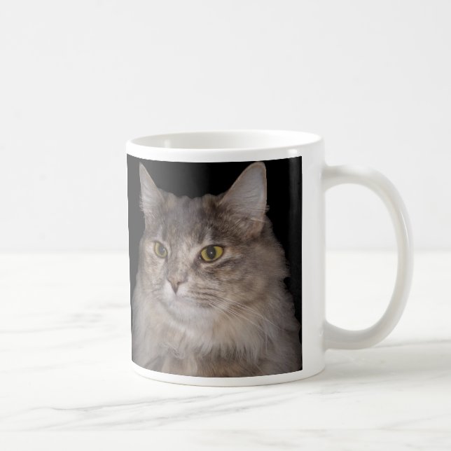 Graue Pelzkatze auf Kaffeetasse (Rechts)