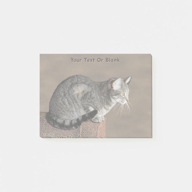 Graue Rauchkatze mit Tabby-Muster Post-it Klebezettel (Vorderseite)