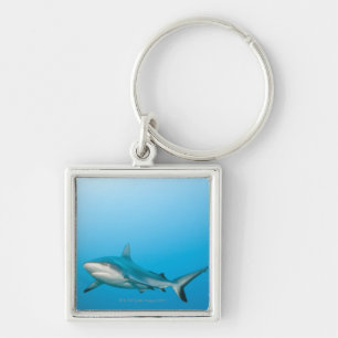 Graue Rifhaifische (Carcharhinus amblyrhnchos) Schlüsselanhänger