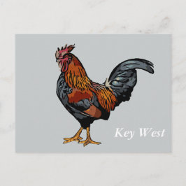 Graue Rooster Key West Post Card Postkarte