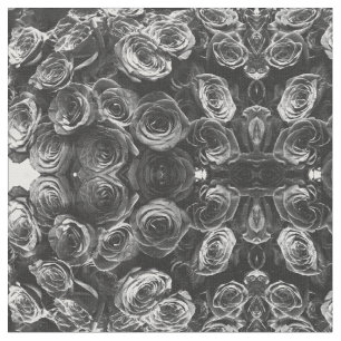 Graue Rose, graues Foto Stoff