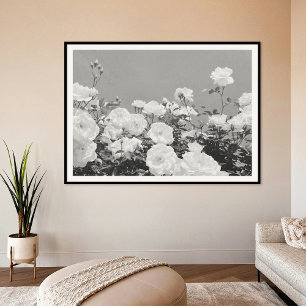Graue Rosen Floralgarten Foto Kunst Druck Poster