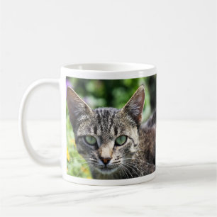 Graue Streifen-Katze mit grünen Augen Kaffeetasse