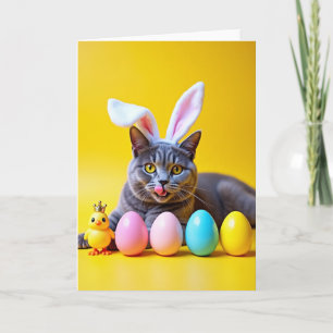 Graue Tabby-Gelbes-Szene-Karte Karte