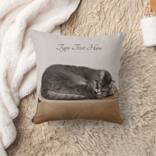 Graue Tabby-Katze, die auf Kasten schläft Kissen