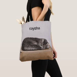 Graue Tabby-Katze, die auf Kasten schläft Tasche