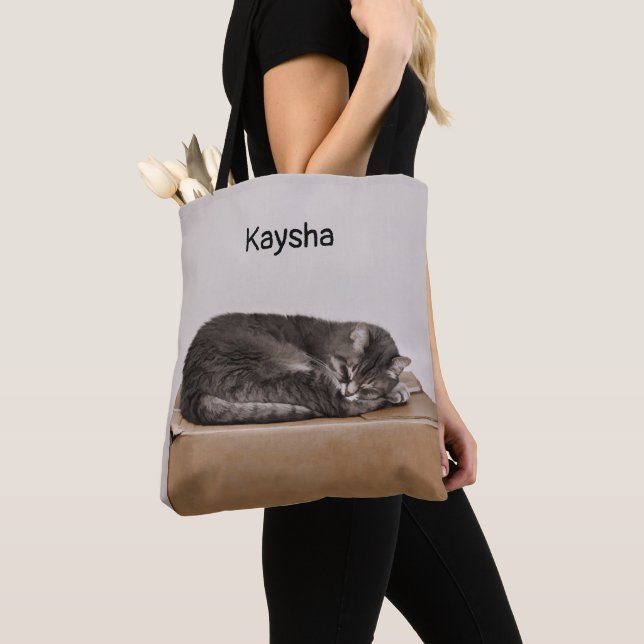 Graue Tabby-Katze, die auf Kasten schläft Tasche (Von Nahem)
