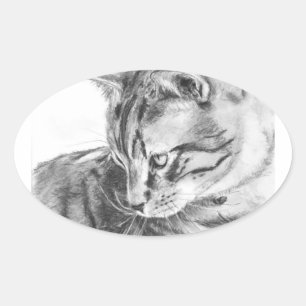 Graue Tabby-Katze, gezeichnet in Kohle Ovaler Aufkleber
