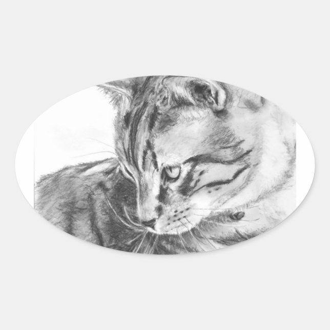 Graue Tabby-Katze, gezeichnet in Kohle Ovaler Aufkleber (Vorderseite)