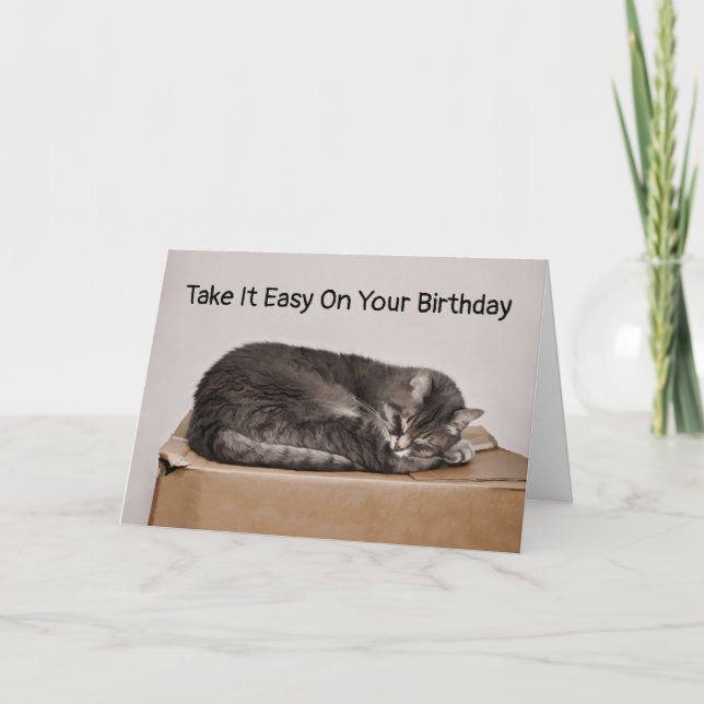 Graue Tabby Katze Schlafen im Kasten Leere Karte (Vorderseite)