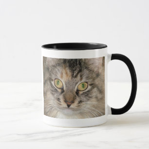 Graue Tabby-Katzen-Tasse Tasse
