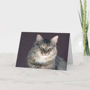 Graue Tabby Katzenkarte Karte