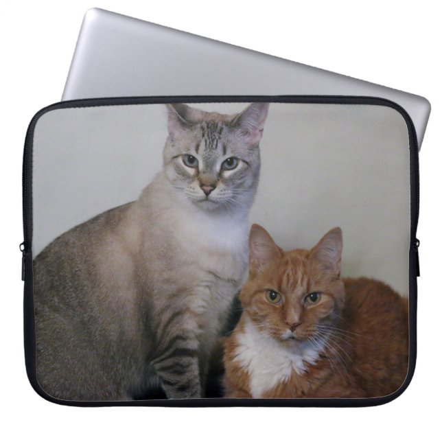 Graue Tabby und Orange Tabby Katzen Laptopschutzhülle (Vorderseite)
