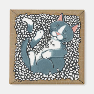 Graue Tuxedo Katze Schlafen in Packung Erdnüsse Magnet