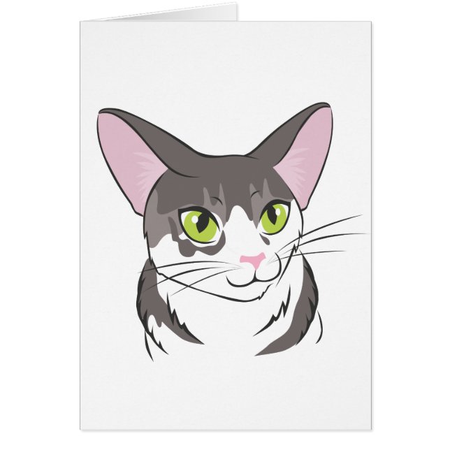 Graue und weiße Katze (Vorne)