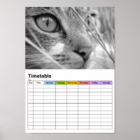 Graue und weiße Katze auf einem grünen / Zeitplan