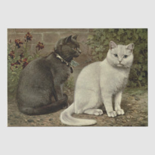 Graue und weiße Katze Ephemera Seidenpapier