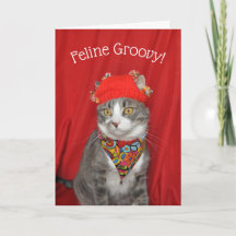 Graue und weiße Katze Hippie Valentine oder Geburt