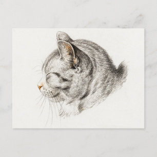 Graue und weiße Katze im Profil Postkarte