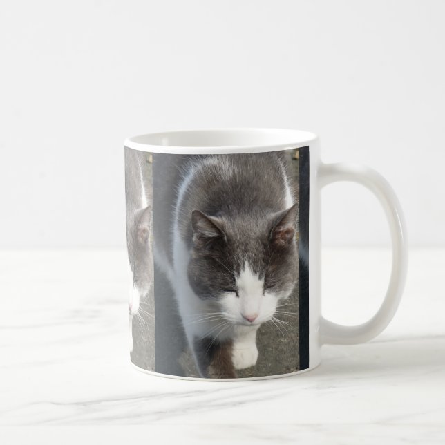 Graue und weiße Katze Kaffeetasse (Rechts)