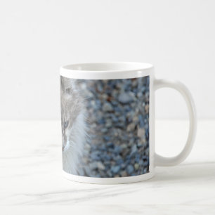 Graue und weiße Katze Kaffeetasse