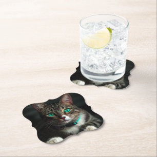 Graue und weiße Katze mit blauen Augen und Matchin Untersetzer