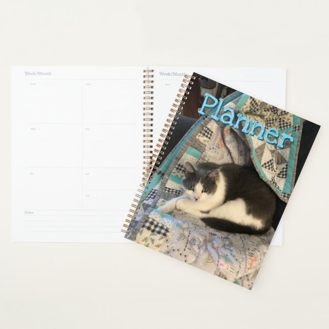 Graue und weiße Katze Planer (Anzeige)