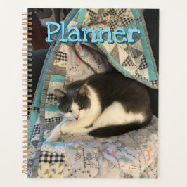 Graue und weiße Katze Planer
