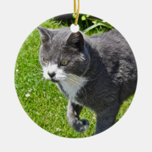 Graue und weiße Katzen-Verzierung Keramik Ornament