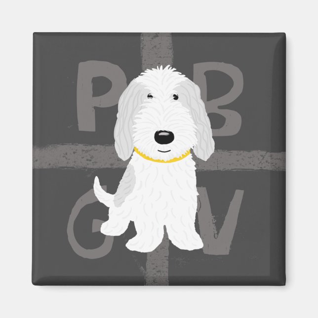 Graue und weiße PBGV Magnet (Vorne)