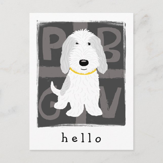 Graue und weiße PBGV Postkarte (Vorderseite)