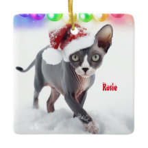 Graue und weiße Sphynx Weihnachten