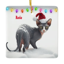 Graue und weiße Sphynx Weihnachten