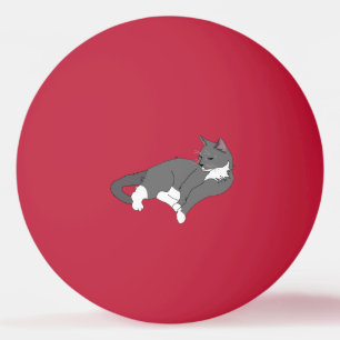 Graue und weiße Tuxedo Katze Tischtennisball