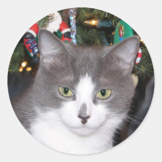 Graue und weiße Weihnachtskitty Runder Aufkleber