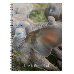 Graue Vögel Kauai (meine Fotografie) Notizblock