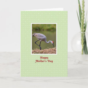 Graue Vogel-Muttertags-Szene-Karte Karte