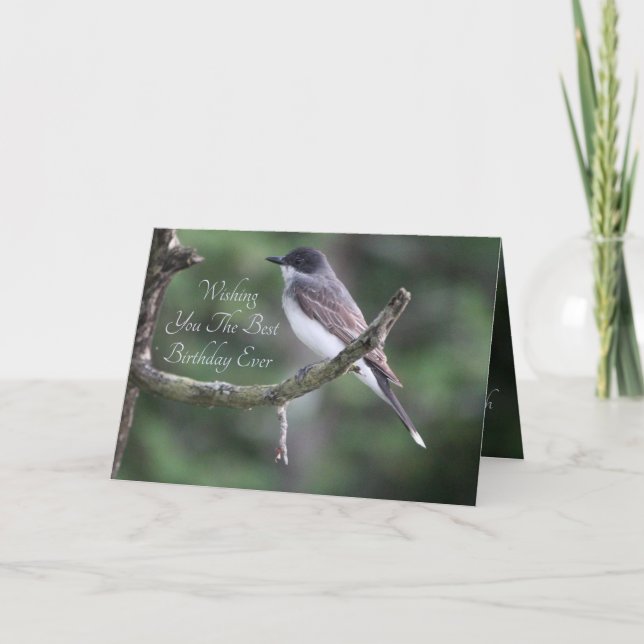 Graue Vogelfotografie Karte (Vorderseite)