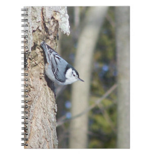 Graue Vogelfotografie Notizblock