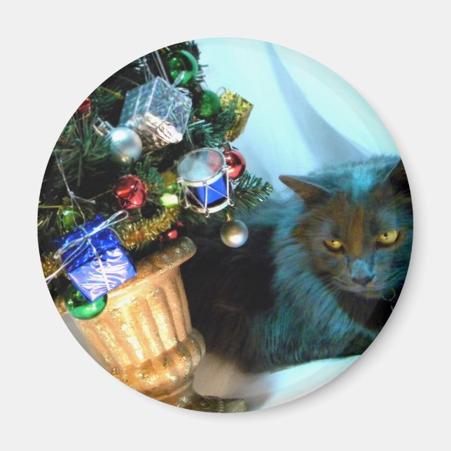 Graue WeihnachtsMiezekatze V Magnet (Vorne)