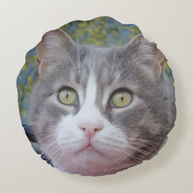 Graue weiße Katze Rundkissen Rundes Kissen (Rückseite)