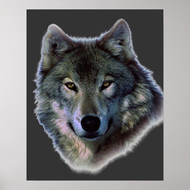 Graue Wolf Eyes Artwork Poster Print (Vorne)