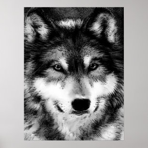 Graue Wolf Eyes Motivierend Poster Print