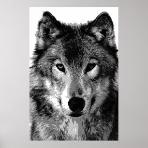 Graue Wolf Poster Print