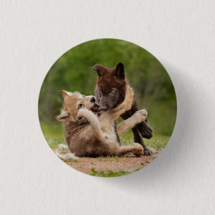 Graue Wolf Pups Wresting Button