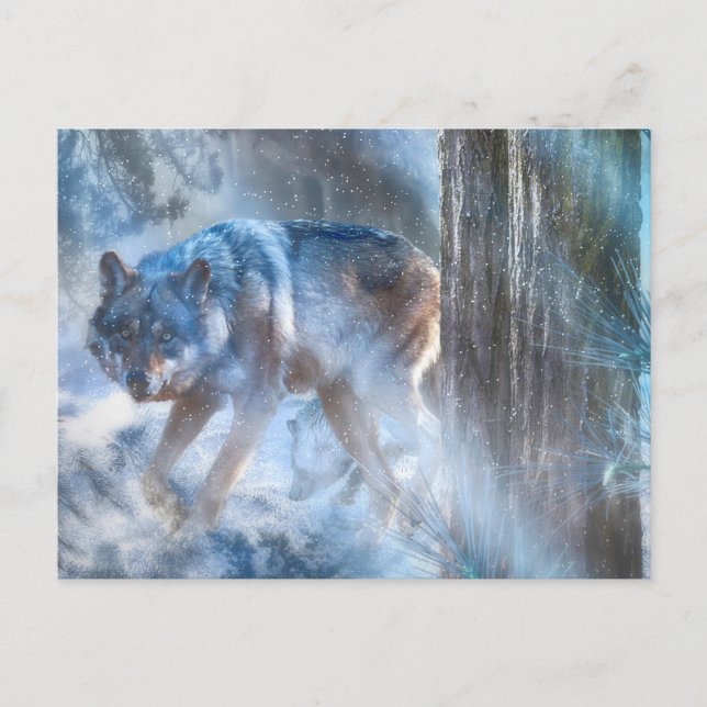 Graue Wolf-SAISON DER WOLF Postkarte (Vorderseite)